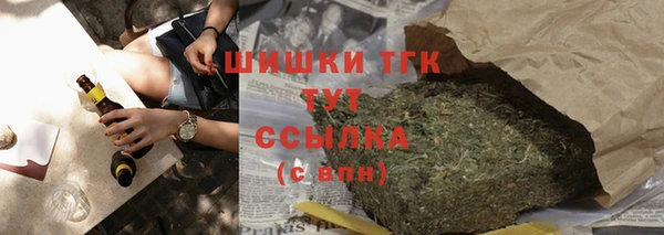 прущие грибы Беломорск