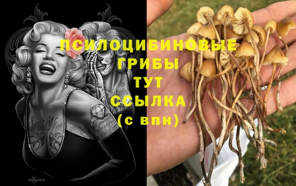 мефедрон Богородицк