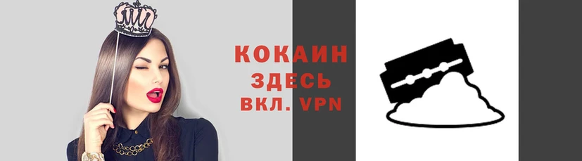 apvp Белокуриха