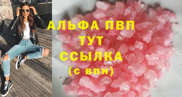 прущие грибы Беломорск