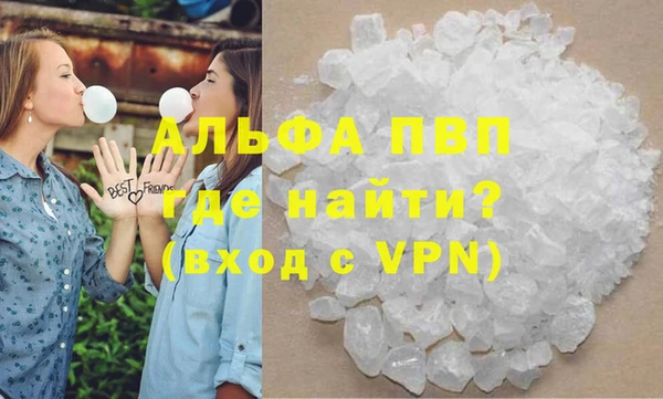 прущие грибы Беломорск