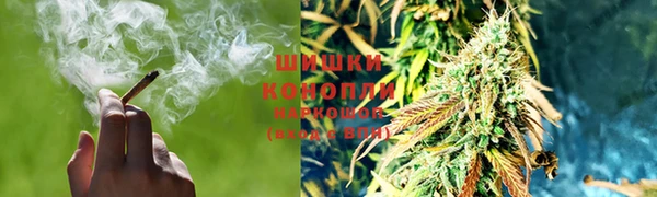 прущие грибы Беломорск